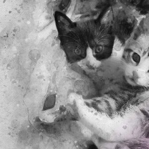 Οι Pizzigatti Encore