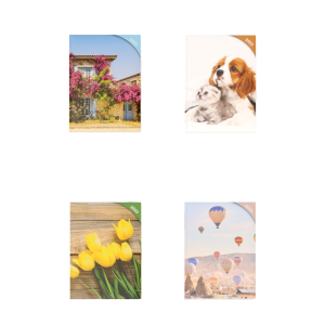 Photo Daily 12x17 Diary