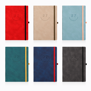 Flex Daily 12x17 Diary