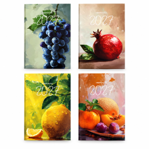 Photo Daily 12x17 Diary