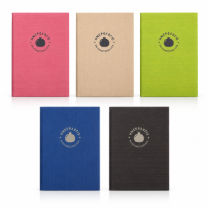 Kasmir Daily 12x17 Diary