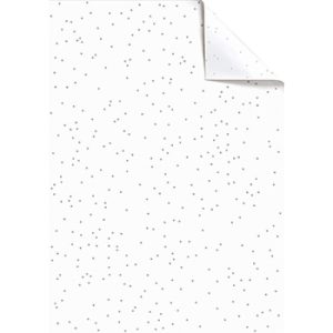 Tissue Paper 50x70cm Ivie Rose pk of 5