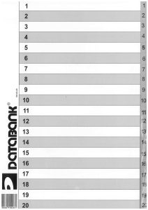 Dividers A4 1-20 Numbers PP