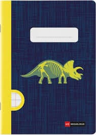 MR - A5 48sheets Hor Stapled Raptor Fossil