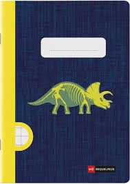 MR - A5 48sheets Hor Stapled Raptor Fossil